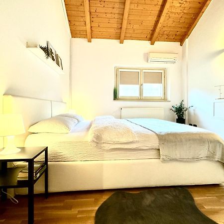 Апартаменти The Loft Тімішоара Екстер'єр фото